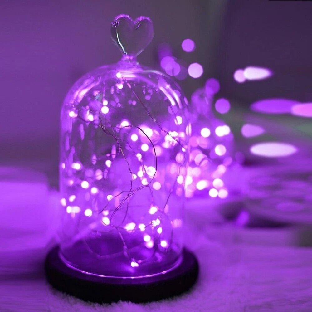 20 LED string Silver Copper Wire Fairy Lights Battery Powered Waterproof 2M USA